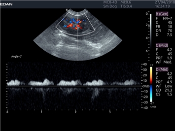 EDAN Acclarix LX4 VET