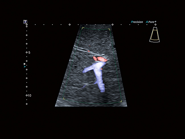 Canon Toshiba Xario 200G